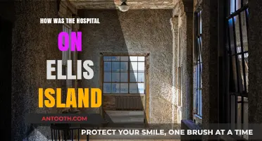 The Hospital on Ellis Island: A Historical Overview