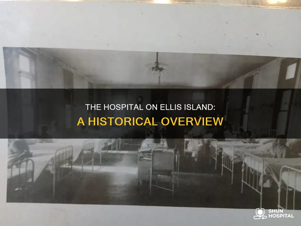 how was the hospital on ellis island