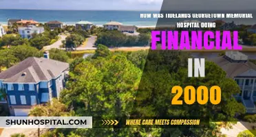 Tidelands Georgetown Memorial Hospital's Financial Performance in 2000: A Review