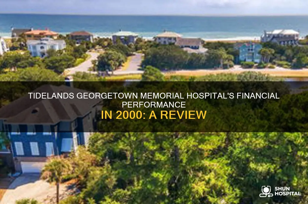 how was tidelands georgetown memorial hospital doing financial in 2000
