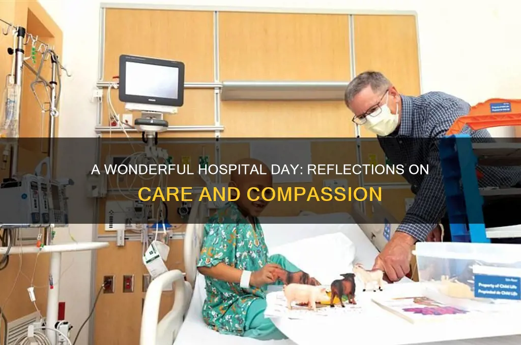 how was your day at the hospital it was wonderful