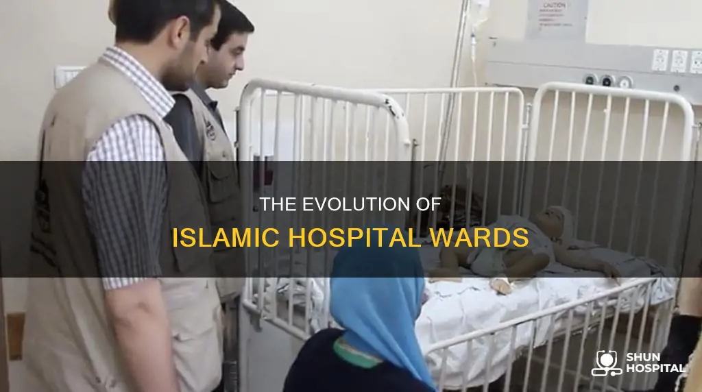 how were islamic hospitals divided into wards