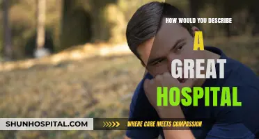 The Ultimate Hospital: Patient-Centric Care