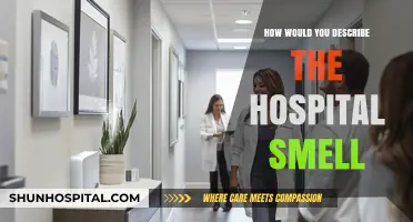 The Distinctive Aroma of Hospitals: A Scent Description