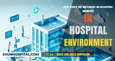 Implementing Enterprise Architecture in Hospitals: Strategies for Seamless Integration