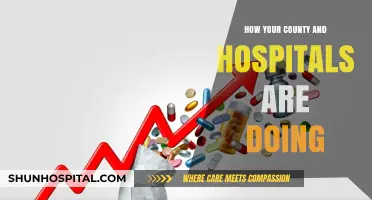 Hospitals and Counties: Performance and Progress