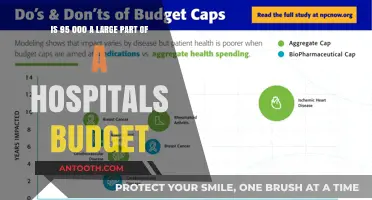 Is $95,000 a Significant Portion of a Hospital's Budget?
