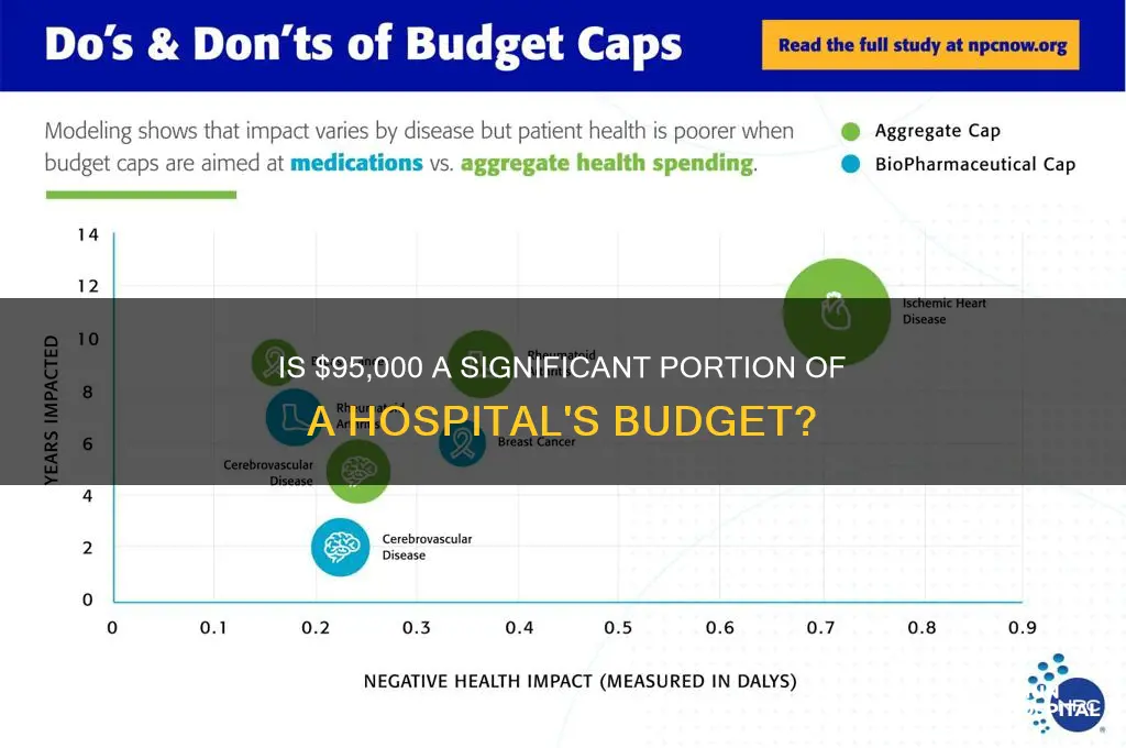 is 95 000 a large part of a hospitals budget
