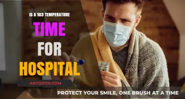 Feverish Concern: When Does a High Temperature Warrant Hospitalization?