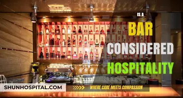Bars and Hospitality: Exploring Their Role in the Service Industry