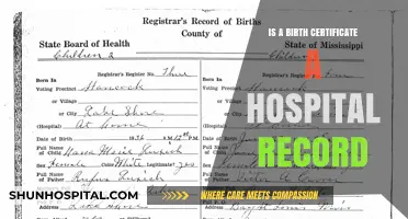 Birth Certificate: A Hospital Record?