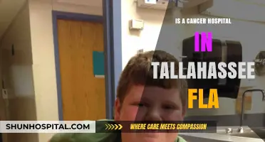 Cancer Care in Tallahassee: Top Hospital Options