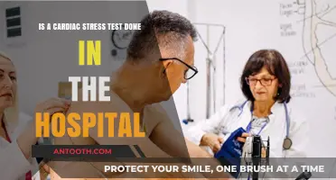 Cardiac Stress Test: Hospital Procedure Explained for Heart Health