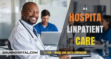 Exploring the Role of Hospitals in Modern Inpatient Care