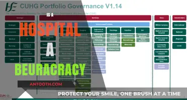 Is a Hospital a Bureaucracy? Exploring Healthcare's Organizational Structure