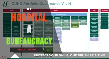 Is a Hospital a Bureaucracy? Exploring Healthcare's Organizational Structure