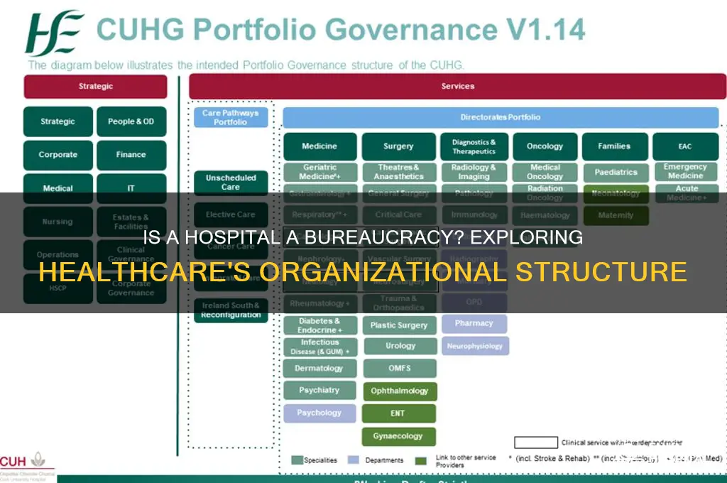 is a hospital a bureaucracy