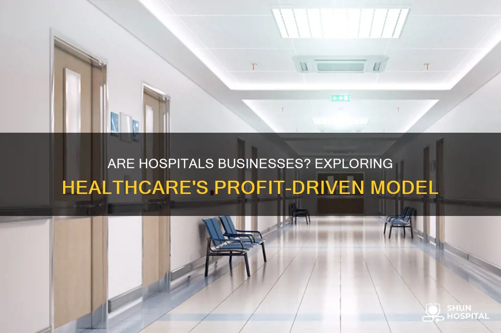 is a hospital a business