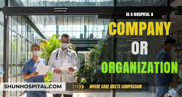 Hospitals: Companies, Organizations, or Both?