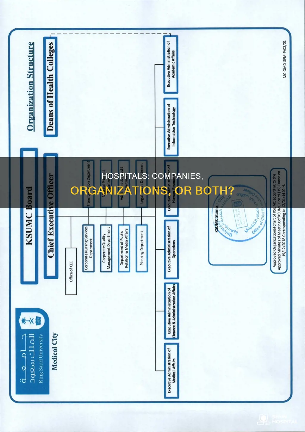 is a hospital a company or organization