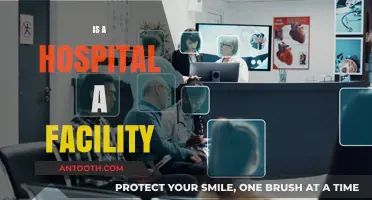 Is a Hospital a Facility? Exploring Healthcare Infrastructure and Definitions