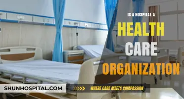 Hospitals: Healthcare Organizations or Not?