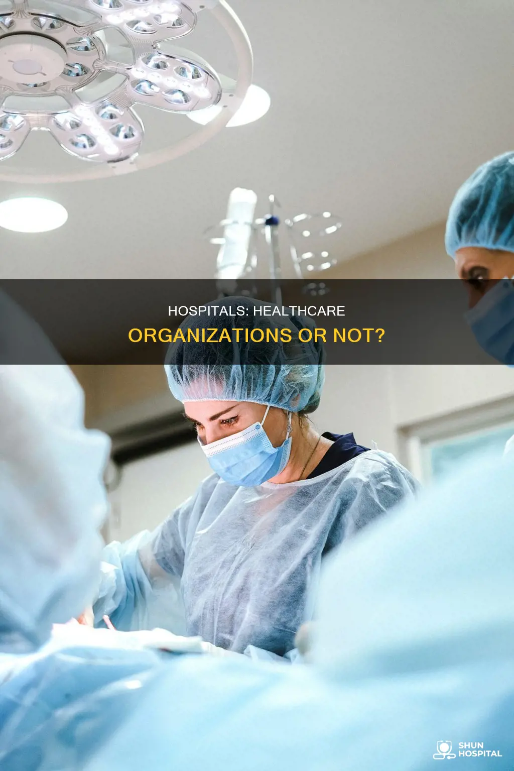 is a hospital a health care organization