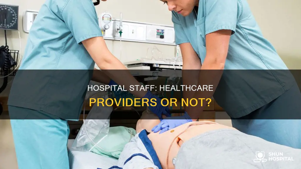 is a hospital a health care provider