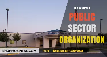 Public Hospitals: Public or Private Sector?