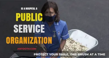 Hospital Services: Public or Private?