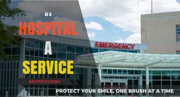 Are Hospitals Service Providers? Exploring Healthcare's Core Functionality