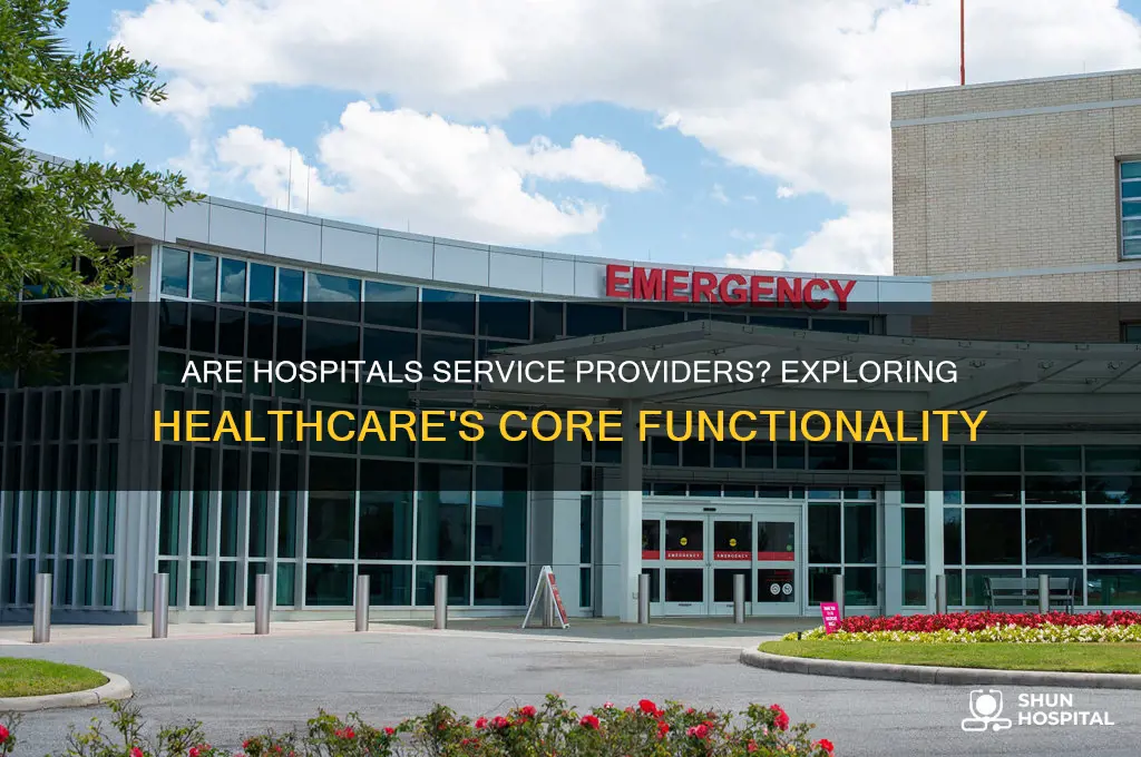 is a hospital a service