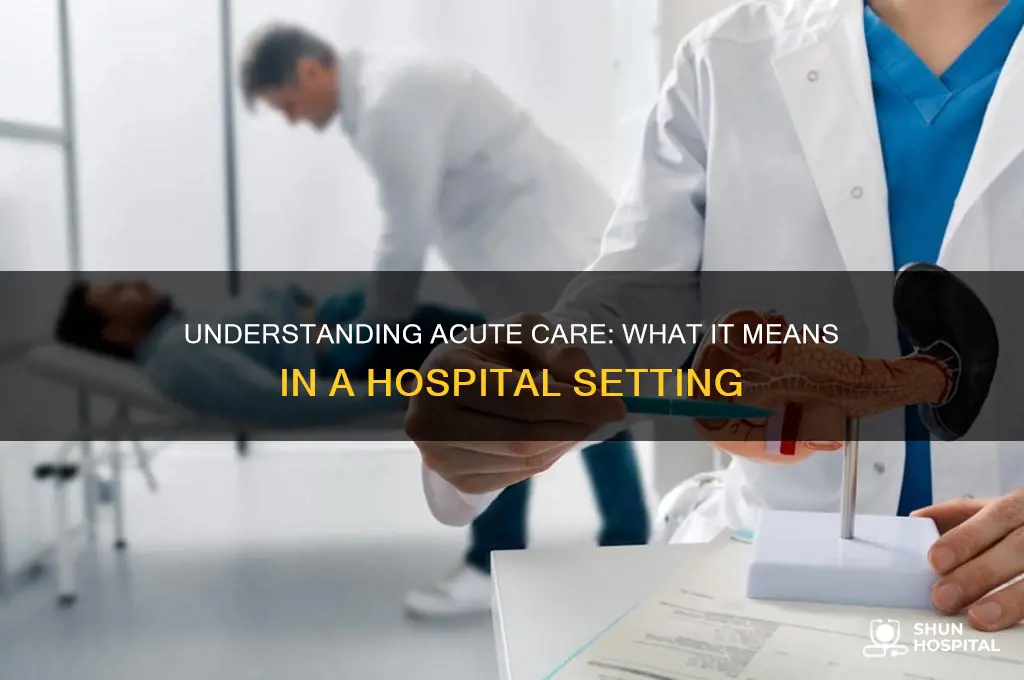 is a hospital acute care
