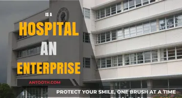 Are Hospitals Enterprises? Exploring the Business Side of Healthcare