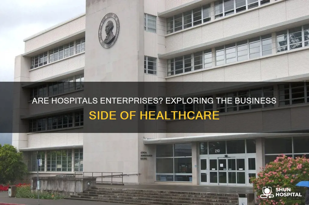is a hospital an enterprise