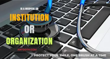 Hospitals: Institutions or Organizations?