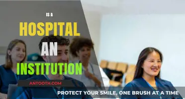 Is a Hospital an Institution? Exploring Its Role and Definition