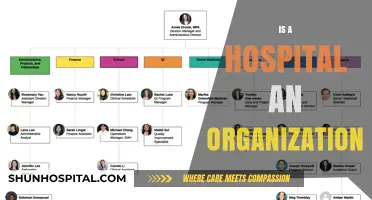 Understanding Hospitals: Are They Truly Organizational Structures or Something More?