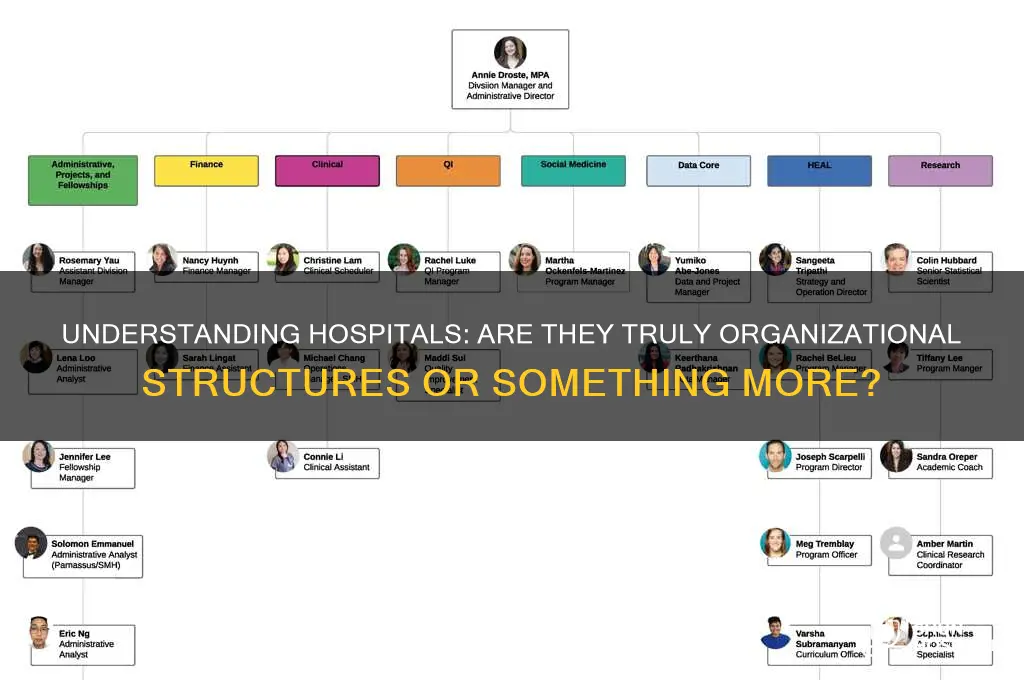 is a hospital an organization