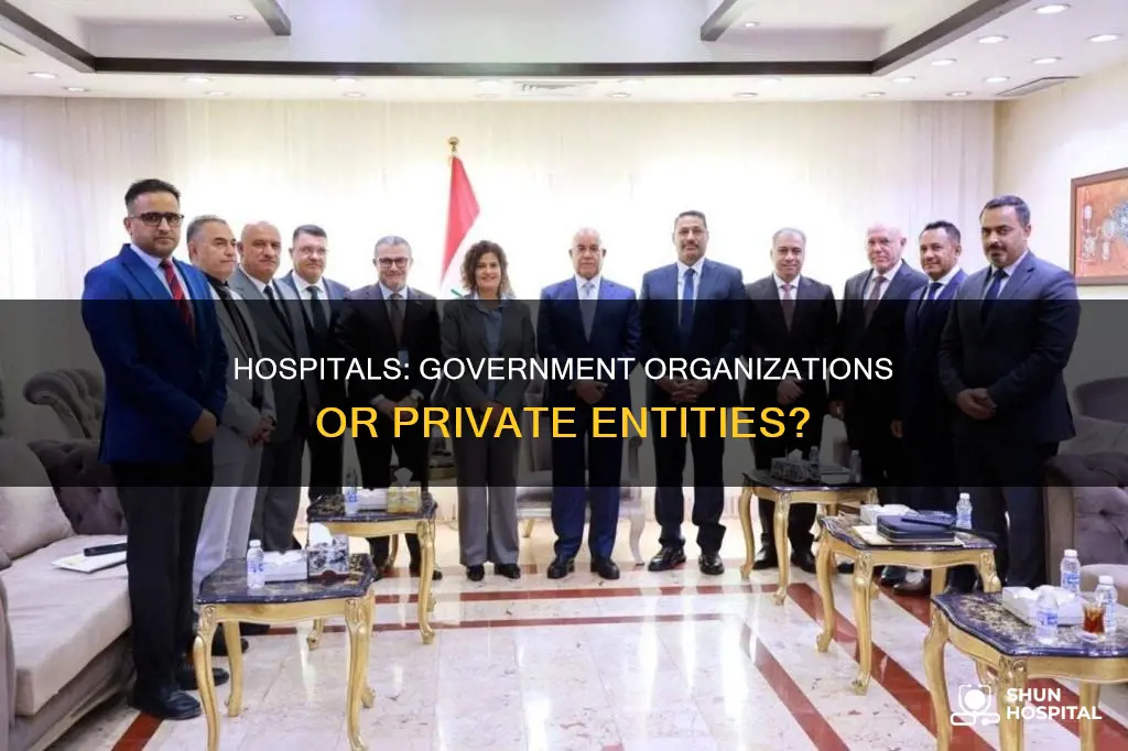 is a hospital considered a government organization