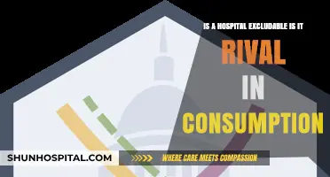 Hospital Excludability and Rivalry: Understanding Public Health Economics