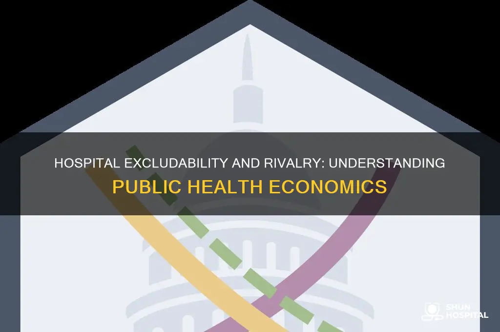 is a hospital excludable is it rival in consumption