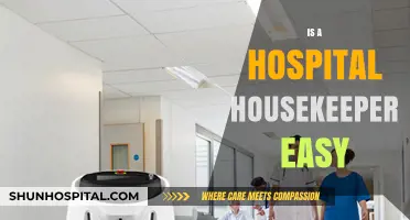Is Hospital Housekeeping Easy? Exploring the Demands of a Vital Role