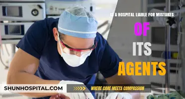 Hospital Liability: Are Institutions Accountable for Employee Errors?