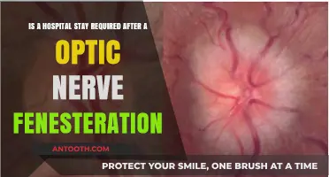Optic Nerve Fenestration Recovery: Is Hospital Stay Necessary?