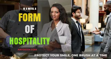 Hotels: The Ultimate Hospitality Experience?