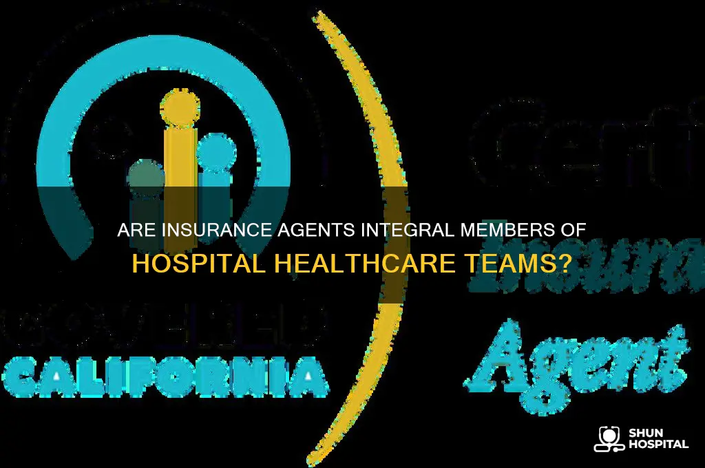 is a insurarnce agent part of the hospital healthcare team