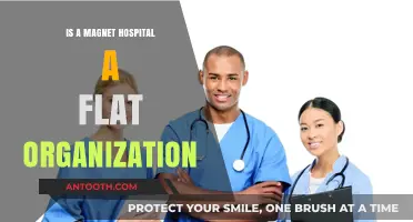 Magnet Hospitals: Flat or Hierarchal?