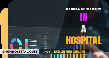 Medical Auditor Role: Understanding Their Vital Position in Hospitals