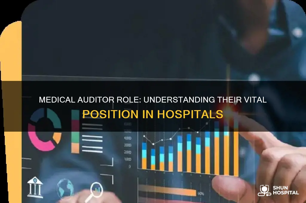 is a medical auditor a position in a hospital